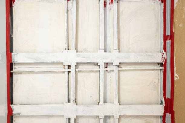 Best Post-Construction Mold Inspection  in Lynchburg, MS