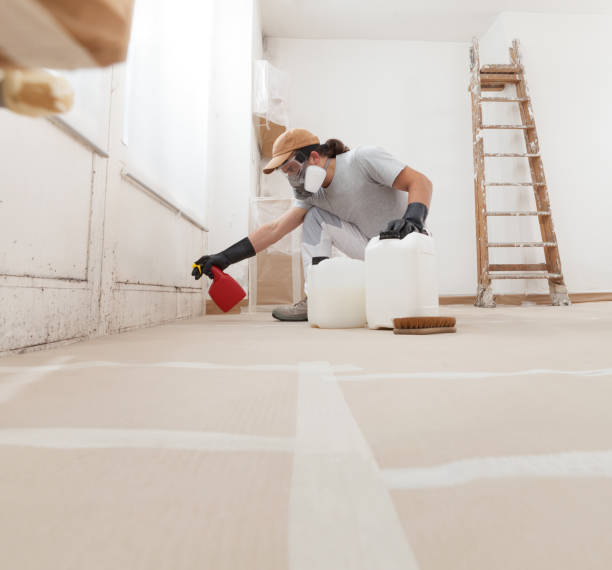  Lynchburg, MS Mold Removal Pros