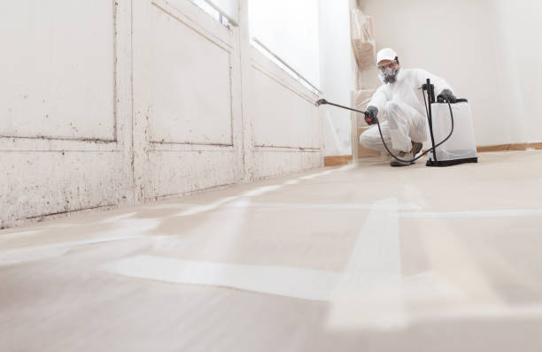 Best Mold Damage Restoration  in Lynchburg, MS